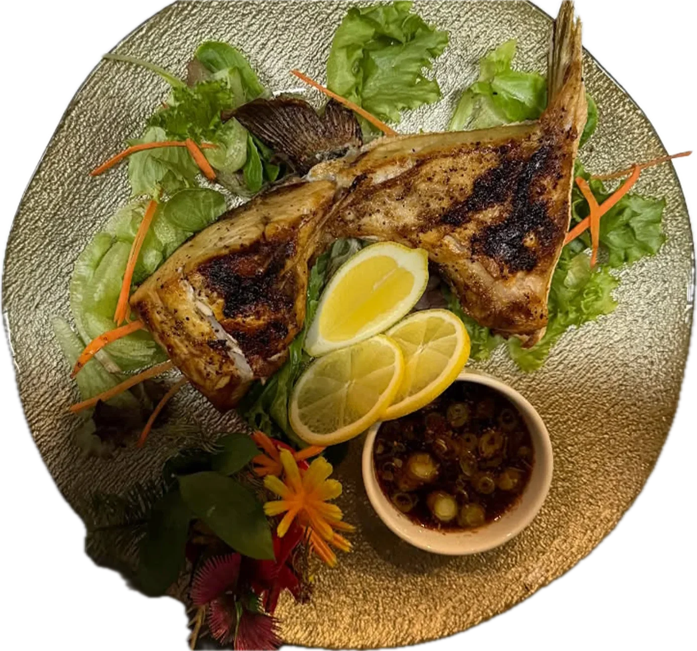 Blue fin Sushi Fusion