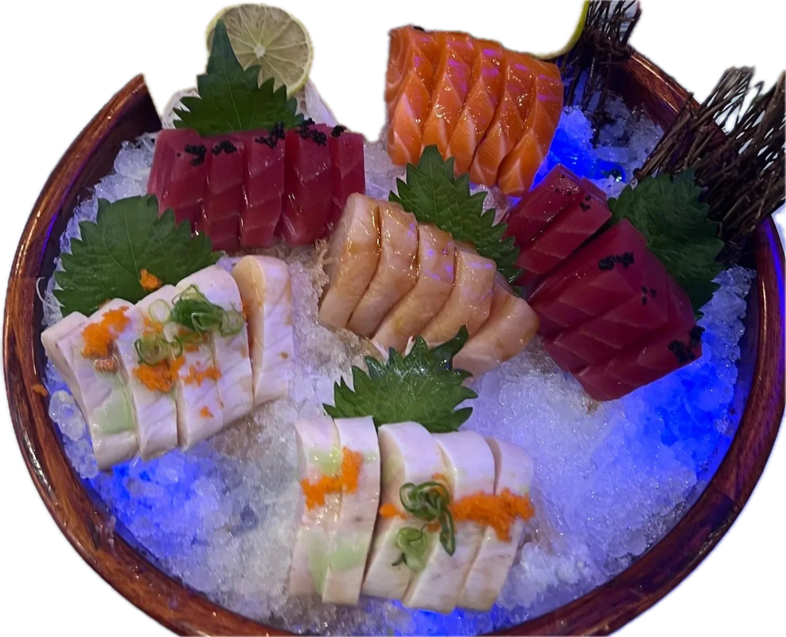 Blue fin Sushi Fusion